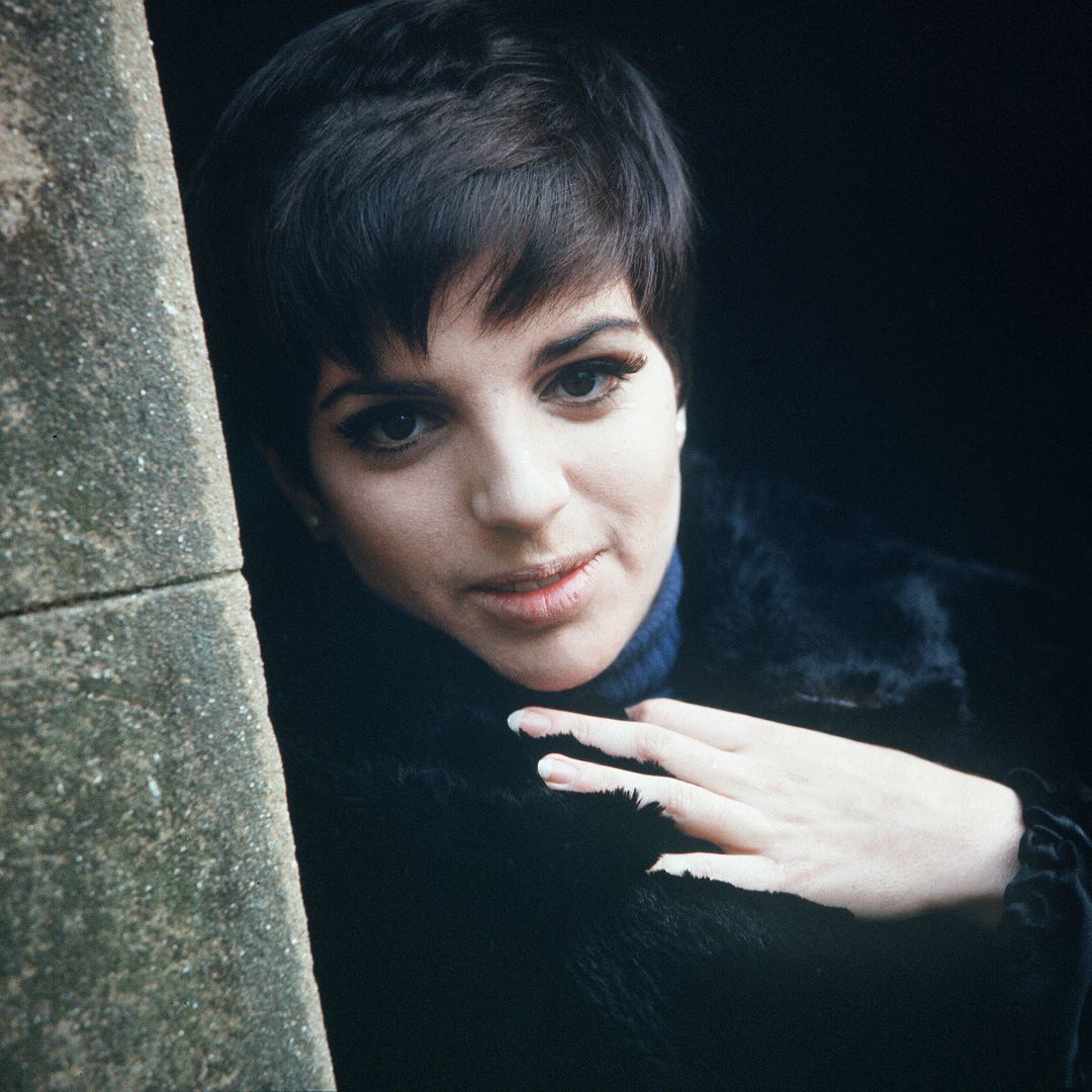 Liza Minnelli, en un retrato, durante su juventud