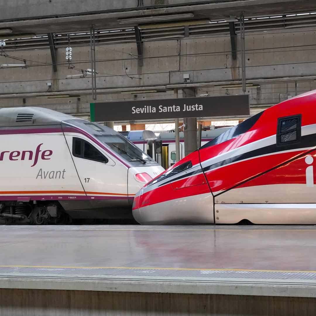 La OCU advierte sobre la huelga de trenes: qué puedes reclamar si tu viaje se cancela o se retrasa
