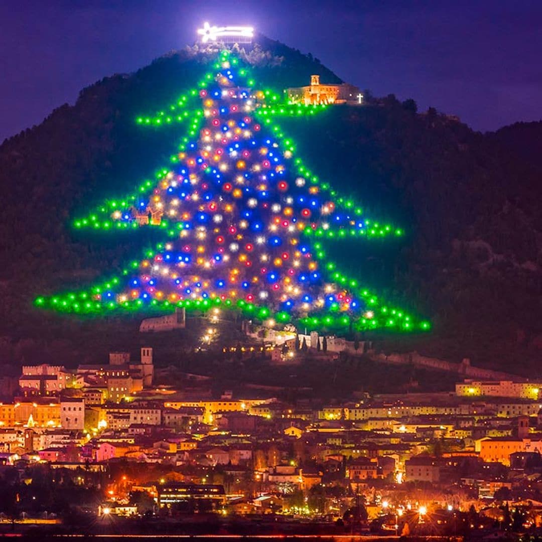 Así brillan los árboles de Navidad más bonitos del mundo