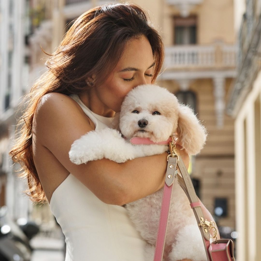 7 collares para perros superestilosos: la selección de nuestra experta en compras de moda