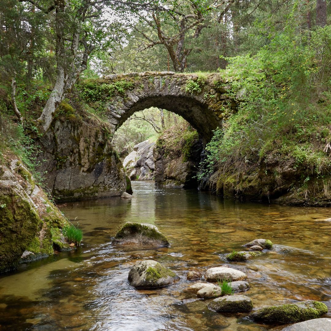 Puente de la Angostura, Lozoya, Rascafría, Madrid