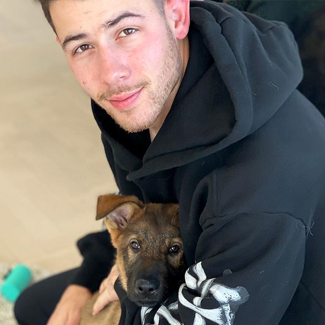No te pierdas el despertar de Nick Jonas con la sorpresa de Priyanka Chopra por su aniversario