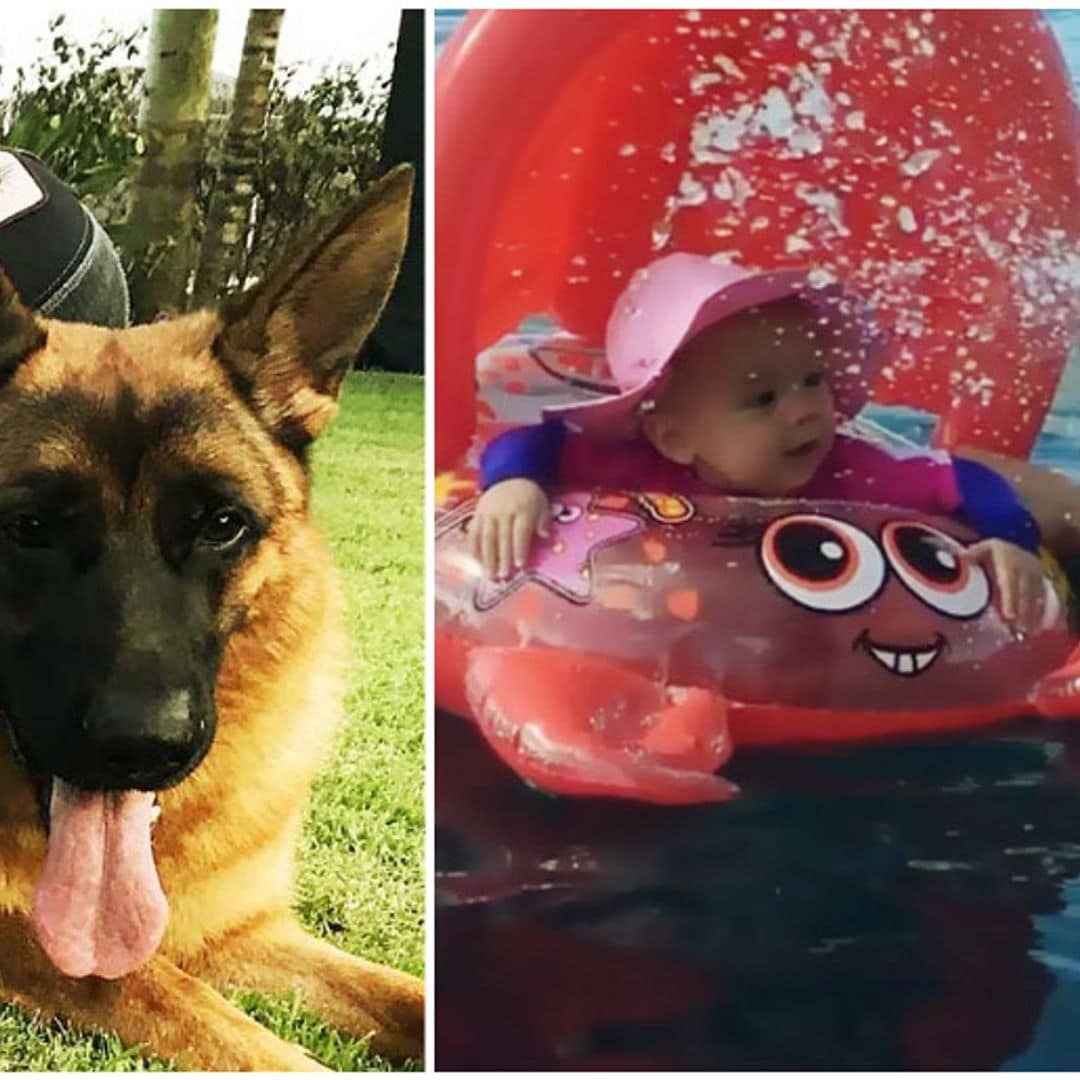 Enrique Iglesias en su mejor papel: disfrutando de su vida en familia
