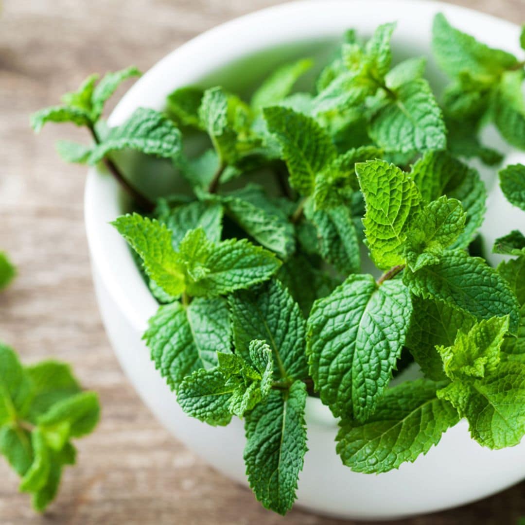 Curiosidades ‘gastro’: menta o hierbabuena, ¿sabrías diferenciarlas?