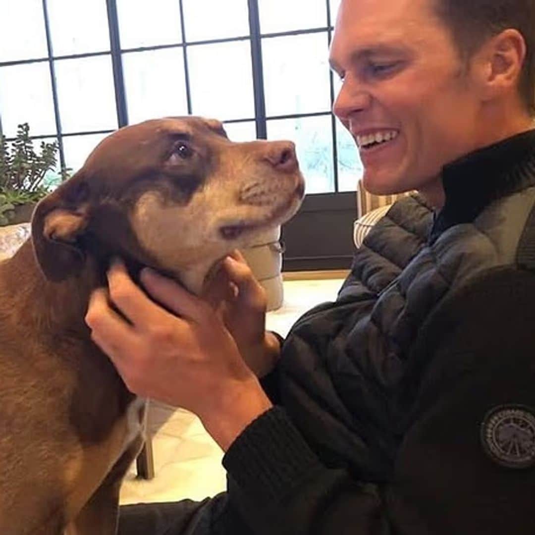 Ana Ramírez, veterinaria, sobre el perro clonado de Tom Brady: "Aunque comparta ADN, no es idéntico en todo"