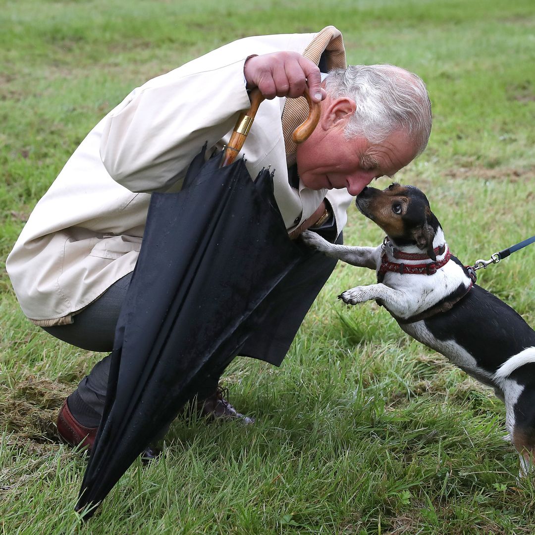 El Rey Carlos junto al perro Beth de Camilla, fallecido en 2024