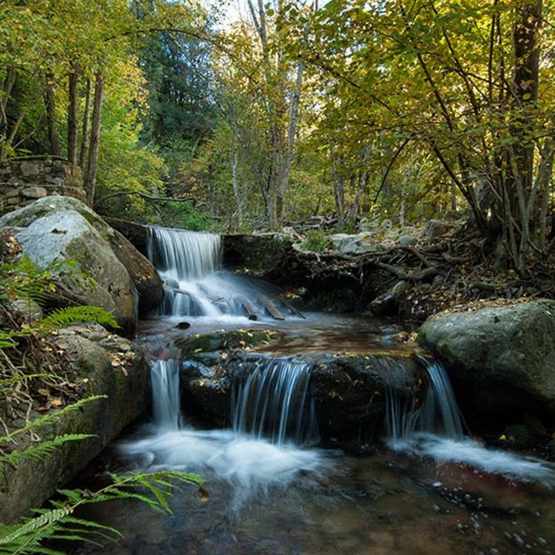 parque montseny barcelona ajpg