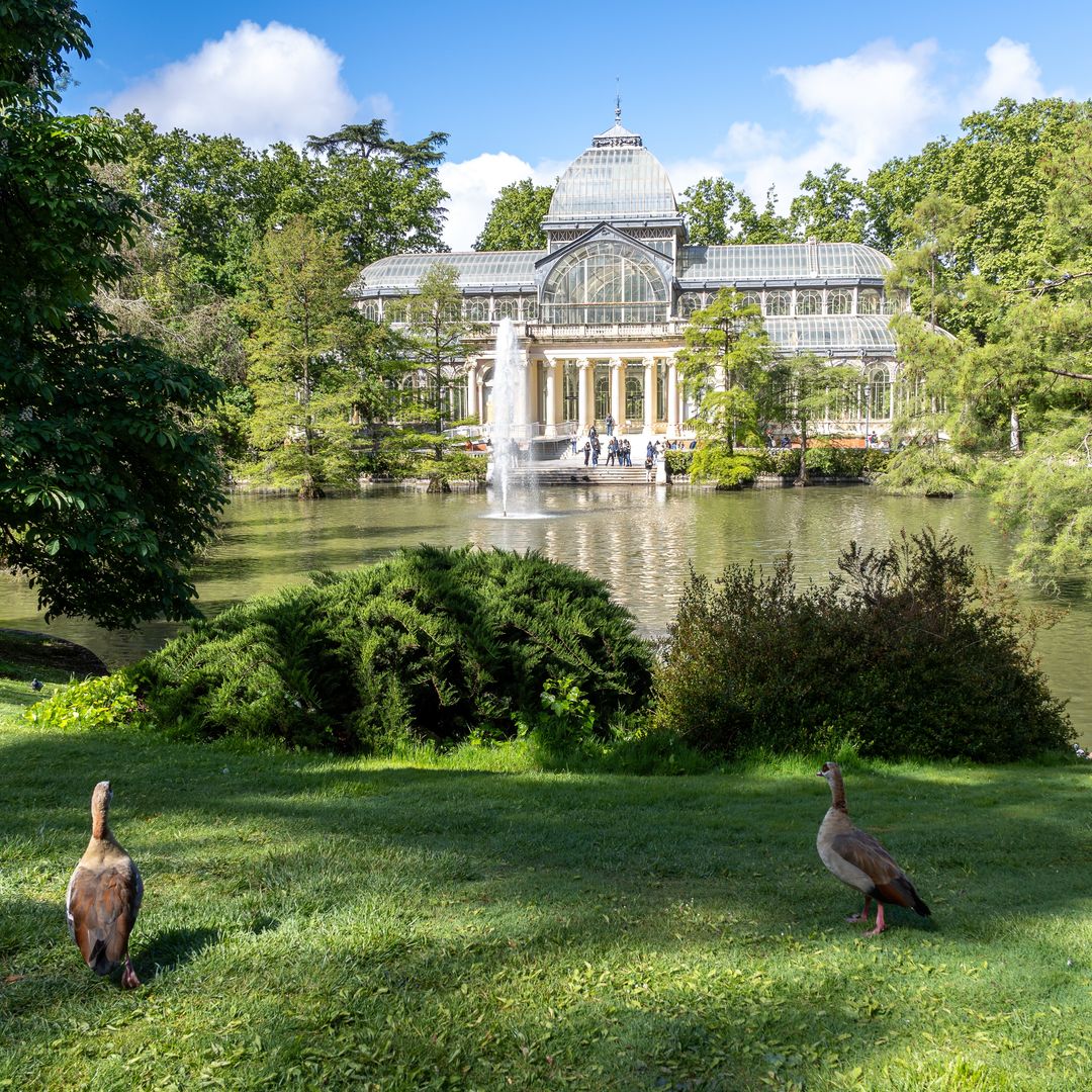 Parque del retiro 