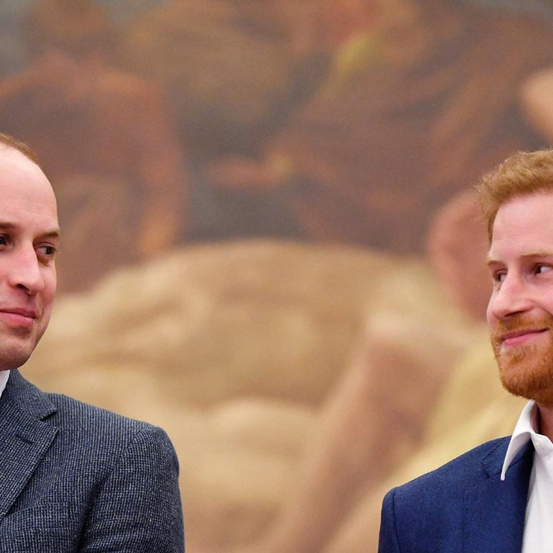 Primer comunicado conjunto de los príncipes Guillermo y Harry tras la crisis