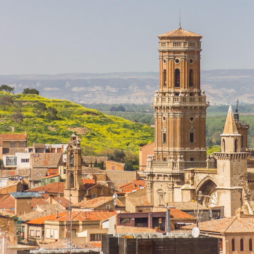 Catedral y tejados de Tudela, Navarra