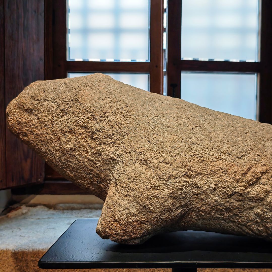 Toro Vetón en el Museo de la Cárcel Real, Coria, Cáceres 