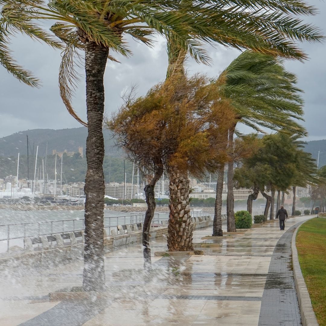 La AEMET activa la alerta especial por las lluvias torrenciales de la DANA Alice