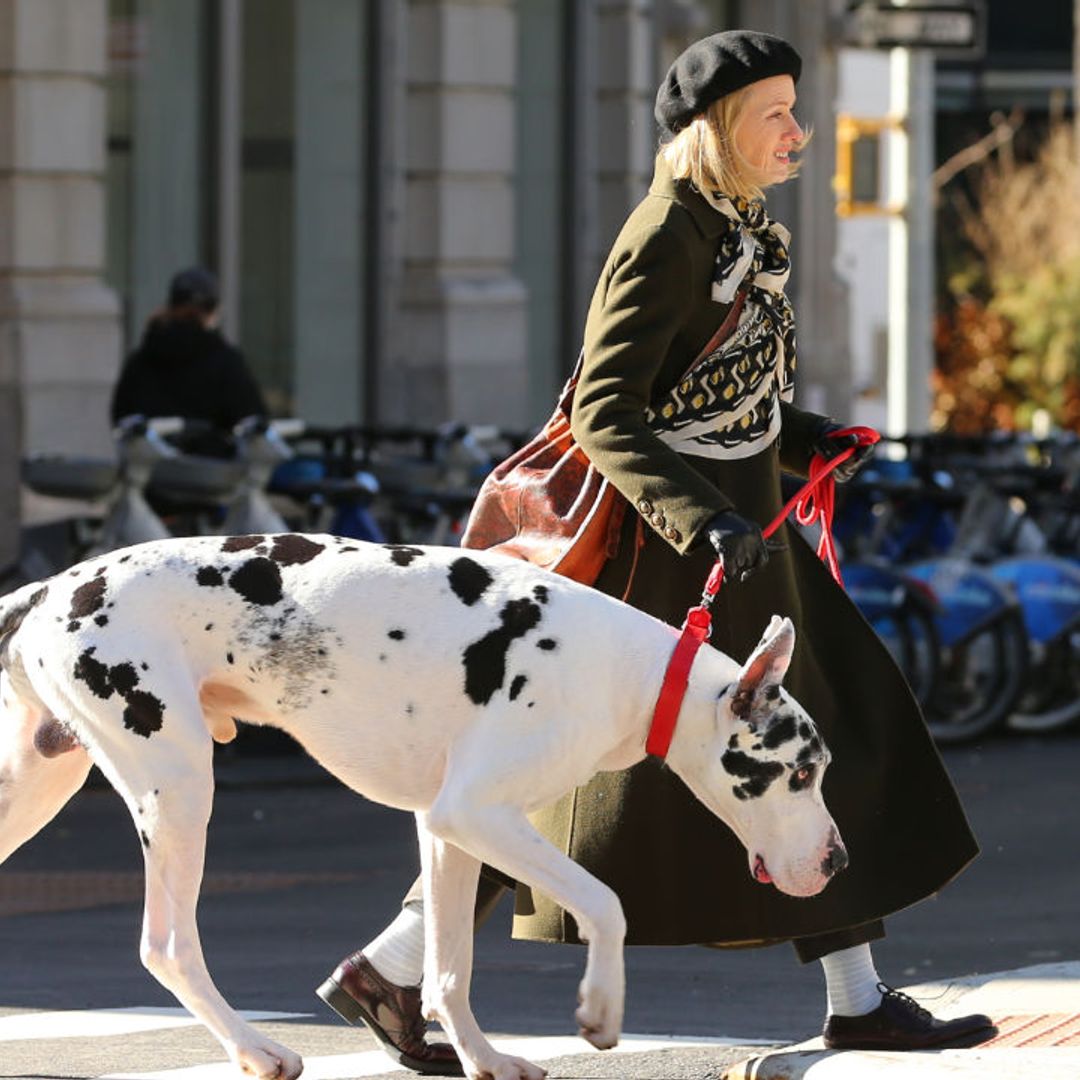 Las imágenes de Naomi Watts paseando por Nueva York con este enorme perro