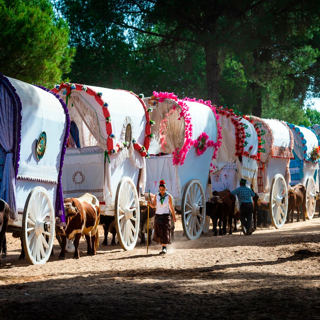 Romería del Rocío 2025: tradiciones y planes que no puedes perderte