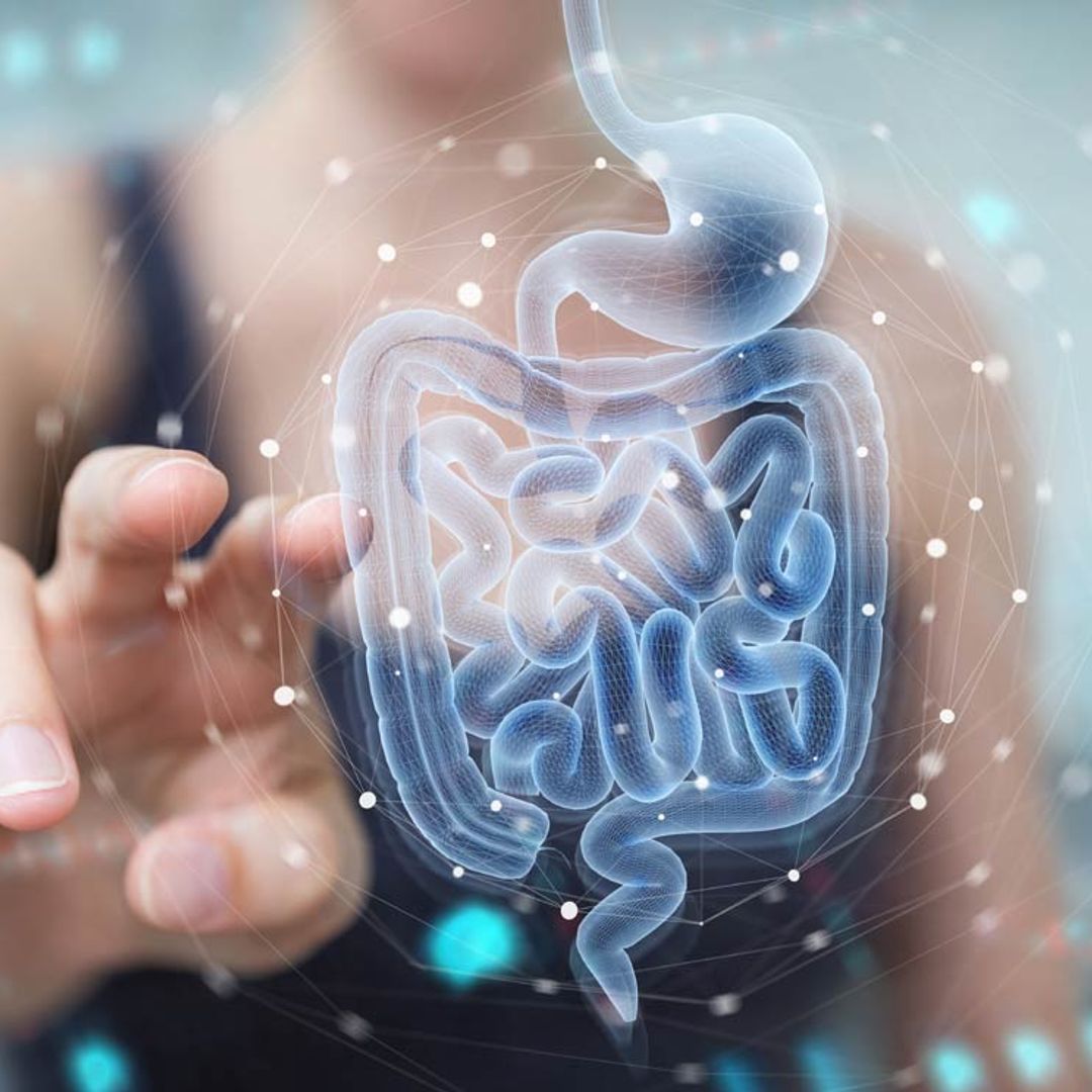 ¿Sabes en qué consiste un estudio de la microbiota intestinal y por qué es interesante hacérselo?