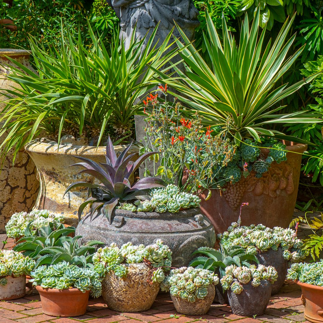Renueva tu jardín o terraza con estos maceteros grandes de exterior de lo más llamativos
