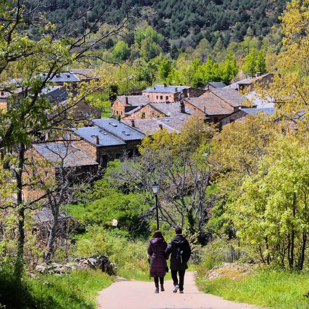 Paseo de otoño junto al pueblo de Valverde de los Arroyos en Guadalajara