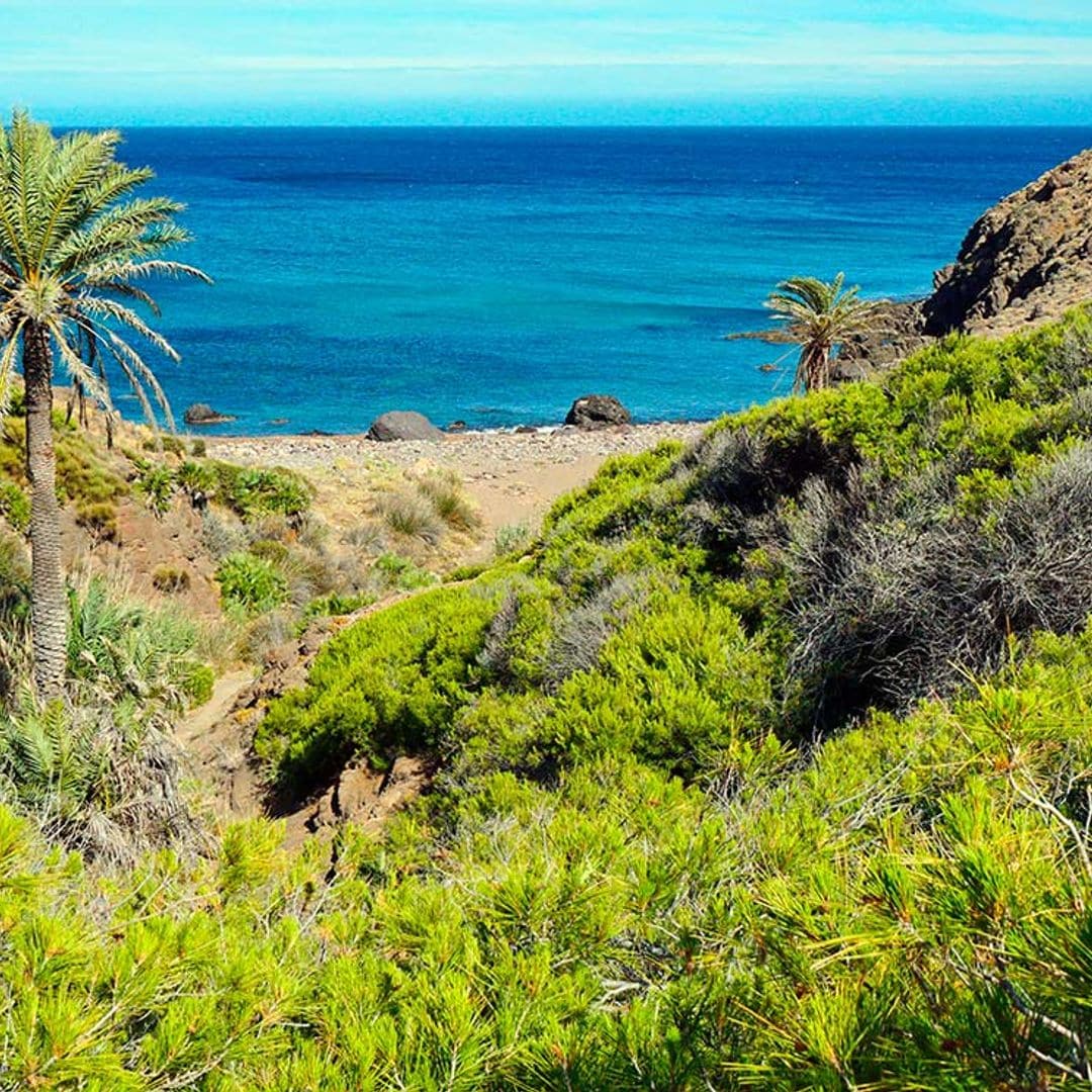 Las calas más secretas y solitarias del Cabo de Gata