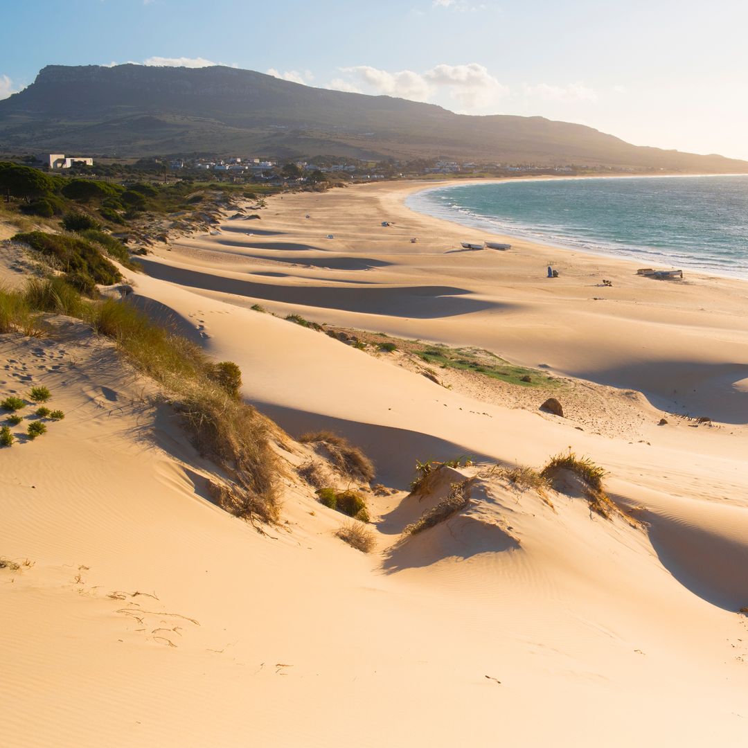 Dunas de la playa de Bolonia, Cádiz
