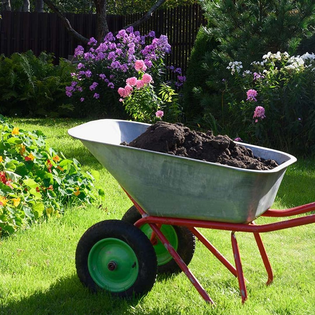 Todas las preguntas que debes plantearte antes de hacer compost para tus plantas