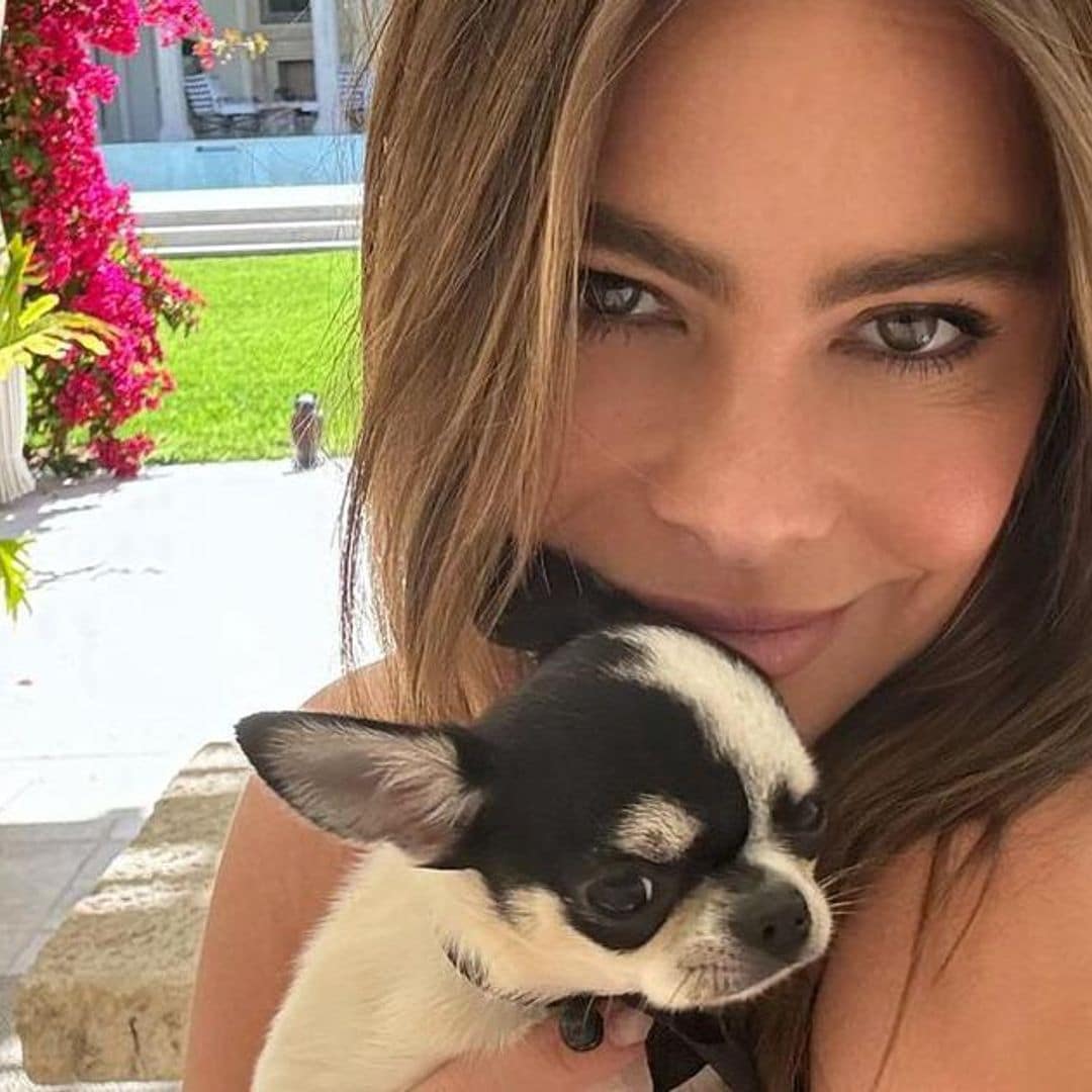 Sofia Vergara tiene el ‘table setting’ perfecto para un ‘brunch’ de primavera