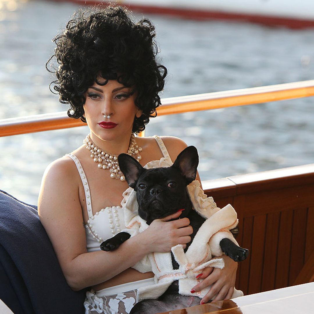 La cómplice del robo de los perros de Lady Gaga demanda a la cantante por no pagar la recompensa
