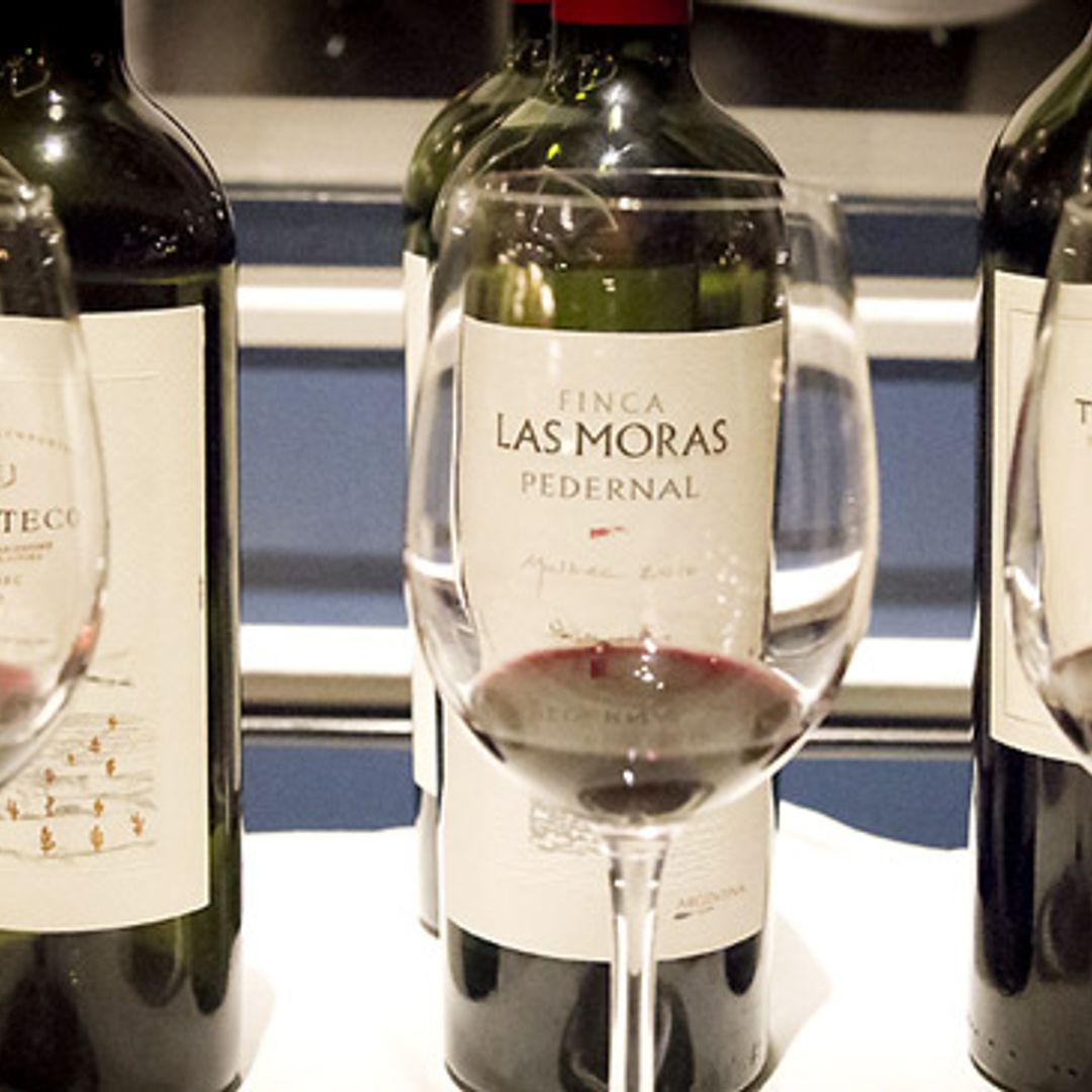 Pistas 'gourmet': ¿Te apetece probar algunos de los mejores vinos de Argentina?