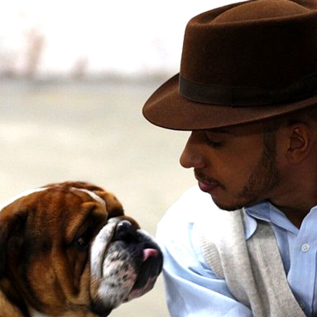 El perro de Lewis Hamilton, una estrella sobre las pasarelas que se embolsa 700 euros diarios