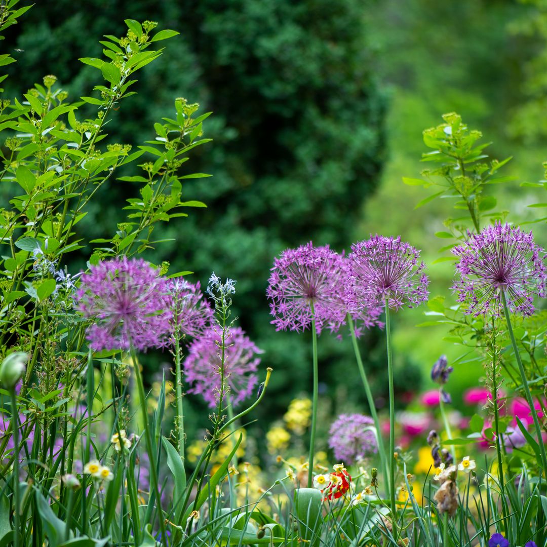 Poco presupuesto, grandes resultados: cómo mejorar tu jardín sin gastar mucho dinero y disfrutarlo en primavera
