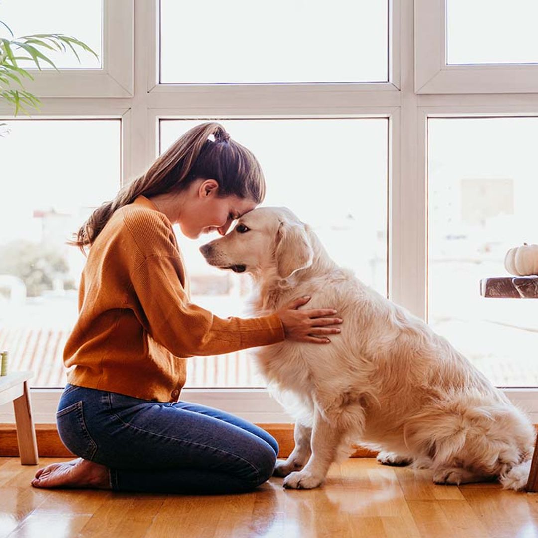 Cómo limpiar la casa cuando convives con una mascota