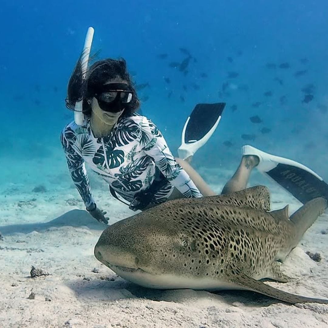 La oceanógrafa y amante de los tiburones, Gádor Muntaner, buceando junto a los animales que tanto ama y protege