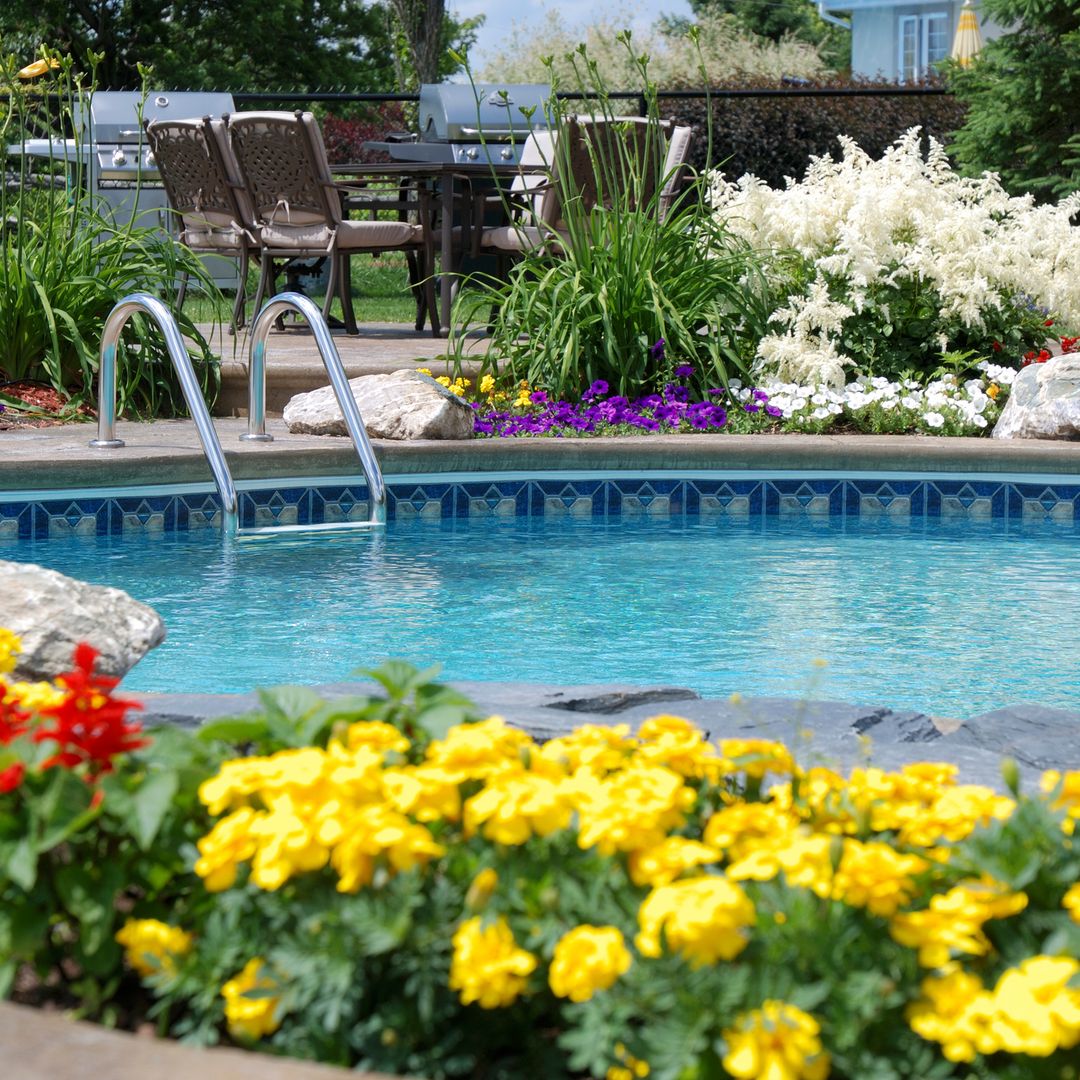 'Deco-superviviencia': Las plantas que convierten la zona de piscina en un oasis verde y lleno de estilo