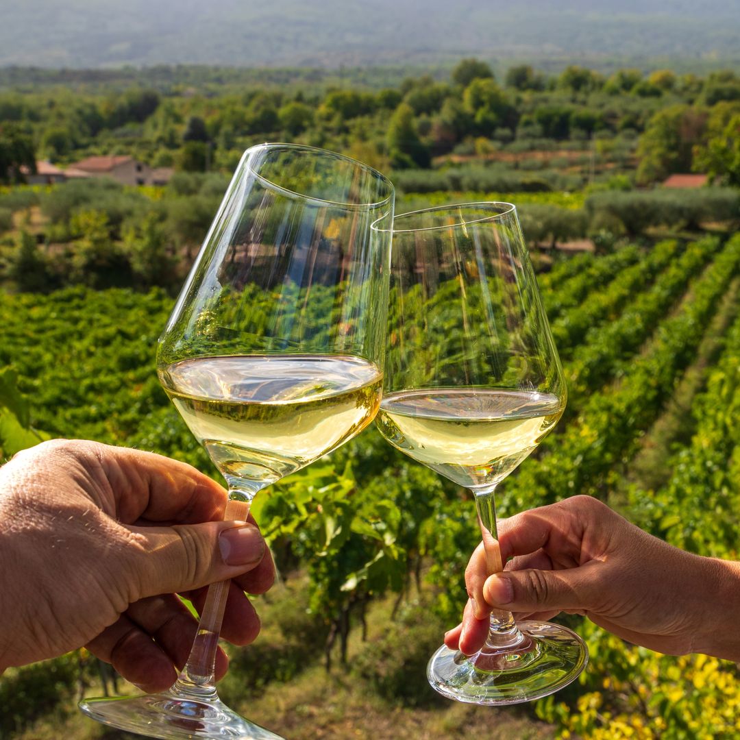 Planes gastro para empezar el curso con ganas: cocina llena de alma, vendimia con cata de vinos, tapas ¡y mucho más!