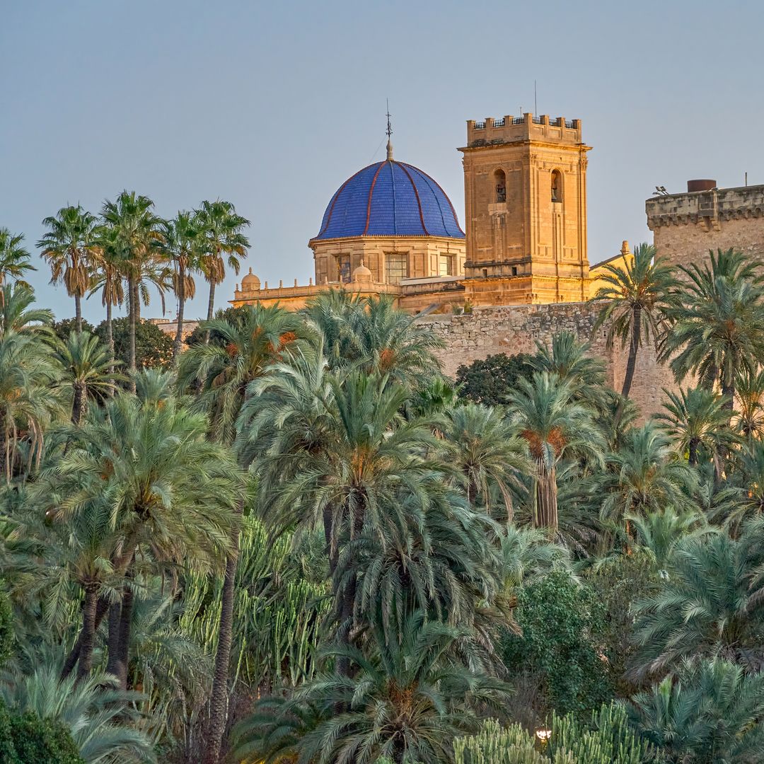 Palmeral de Elche, Patrimonio de la Humanidad, Alicante