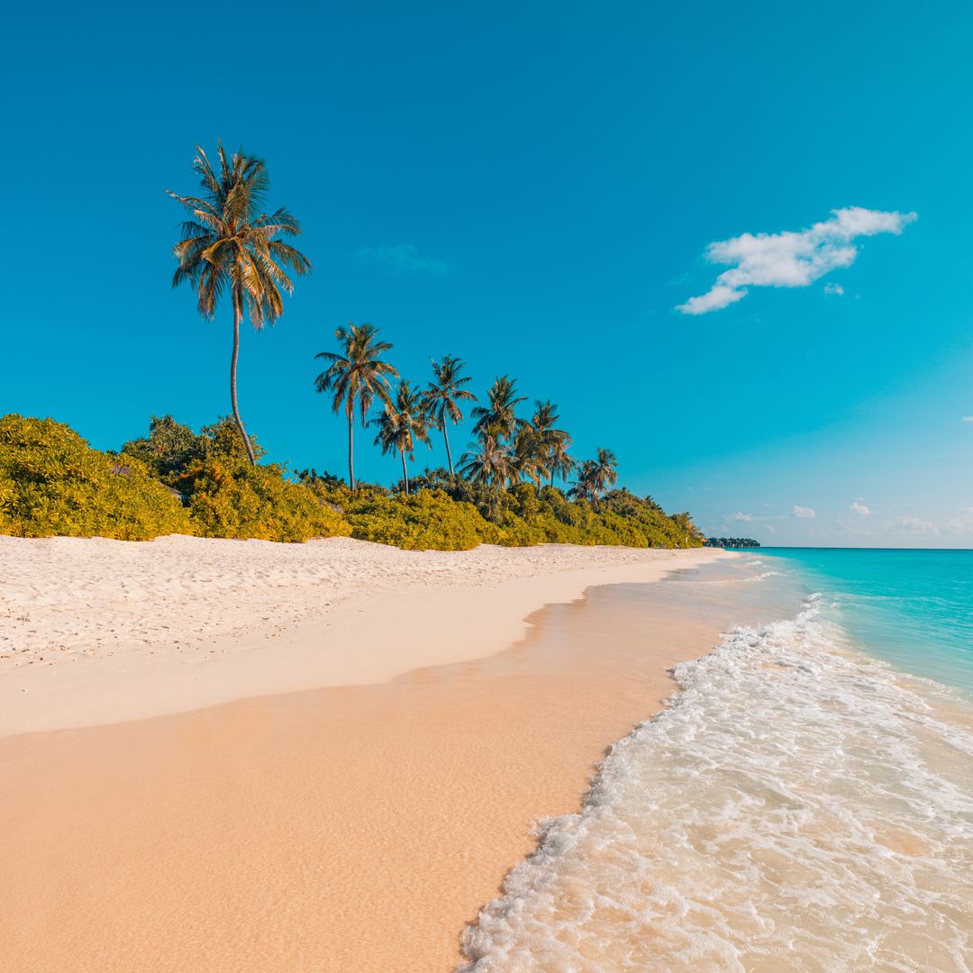 Playa en las islas Bahamas, uno de los destinos más exóticos del Caribe