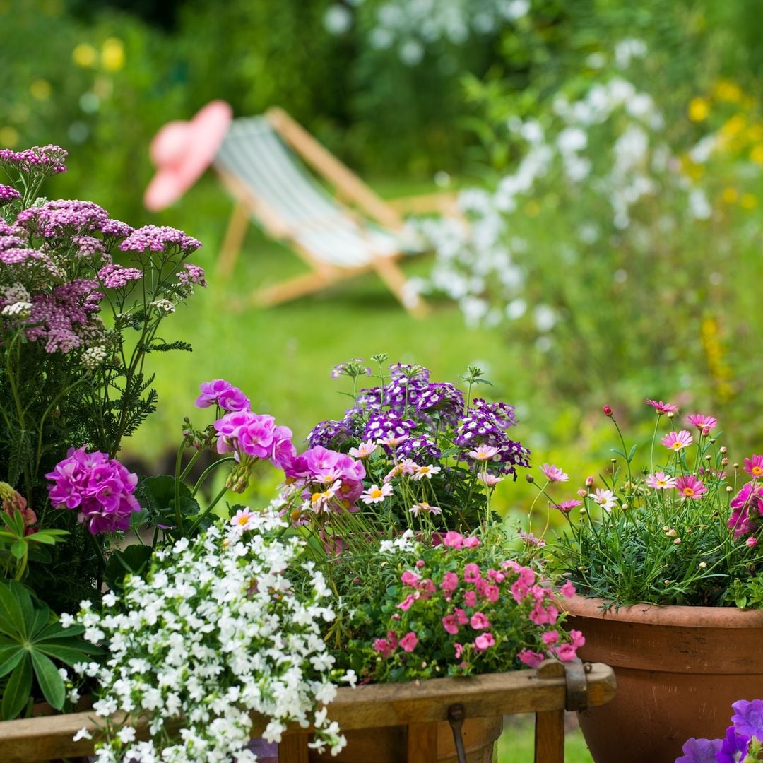Flores de otoño: 10 especies que llenan de color y alegría tu jardín
