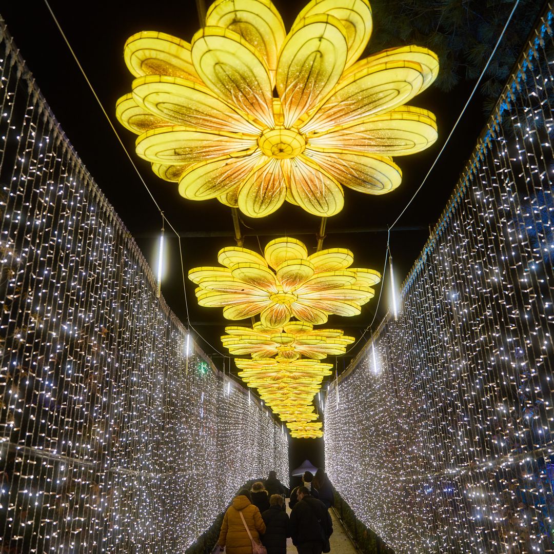 Mágicas Navidades, Torrejón de Ardoz, Madrid