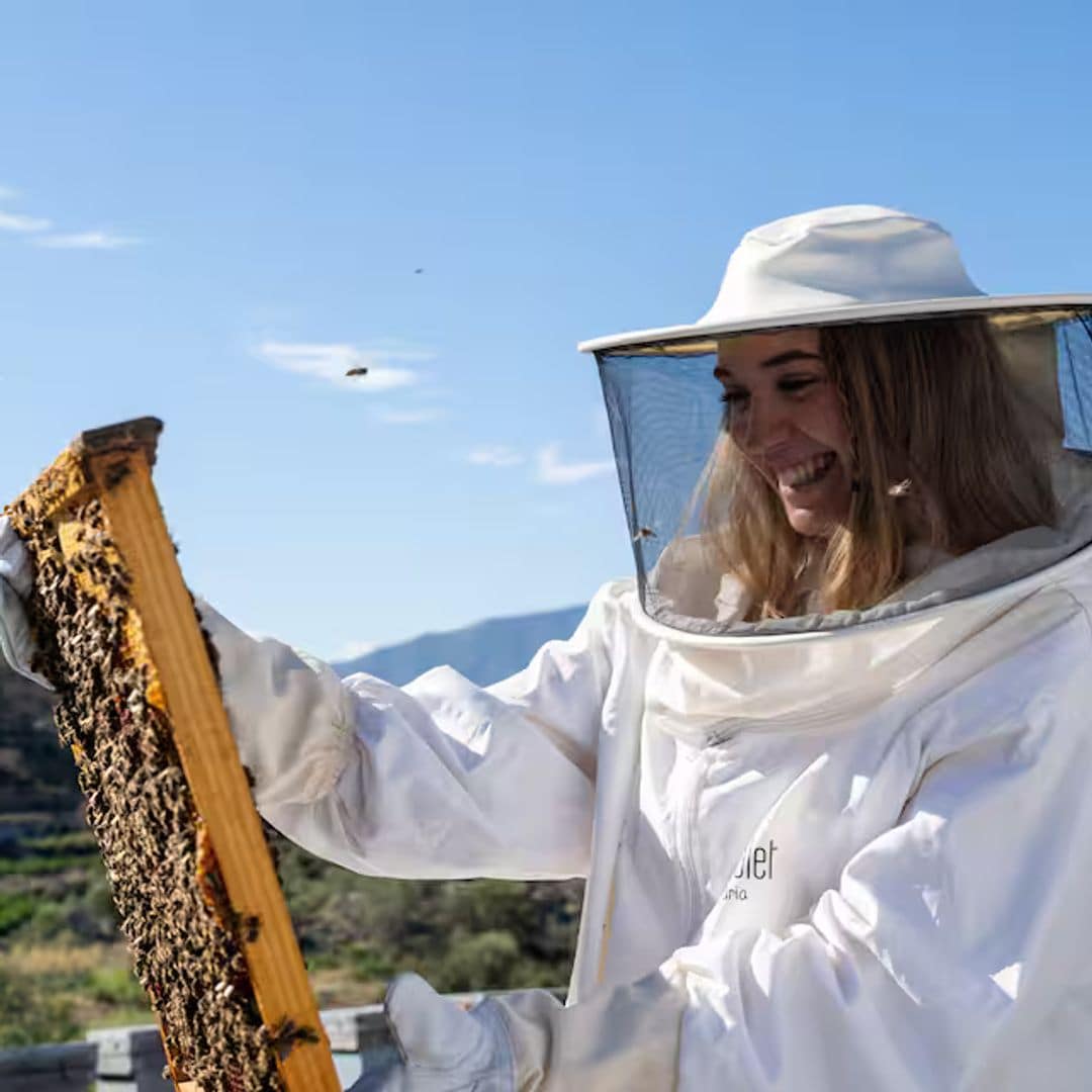Experiencia de apiturismo, Alicante