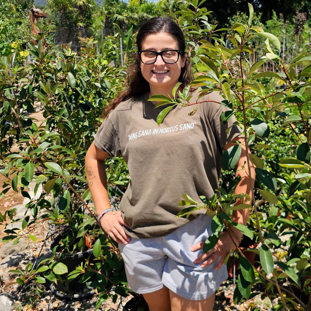 Júlia Lladó, jardinera: "La fotinia es fuerte, vistosa y agradecida: basta una poda tras cada brote rojo para que luzca espectacular"
