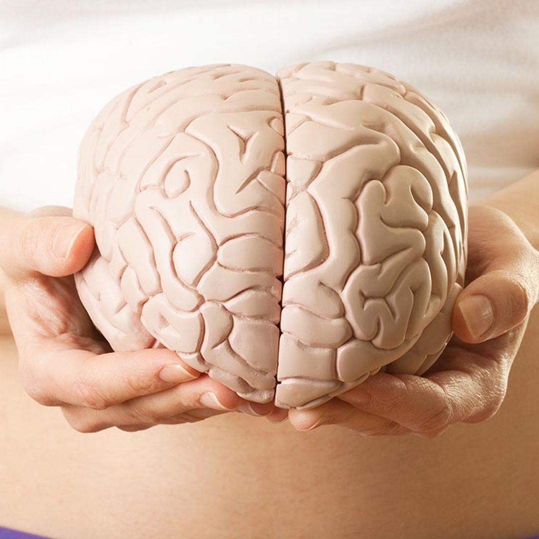 Situaciones frecuentes que pueden hacer que tu cerebro se modifique
