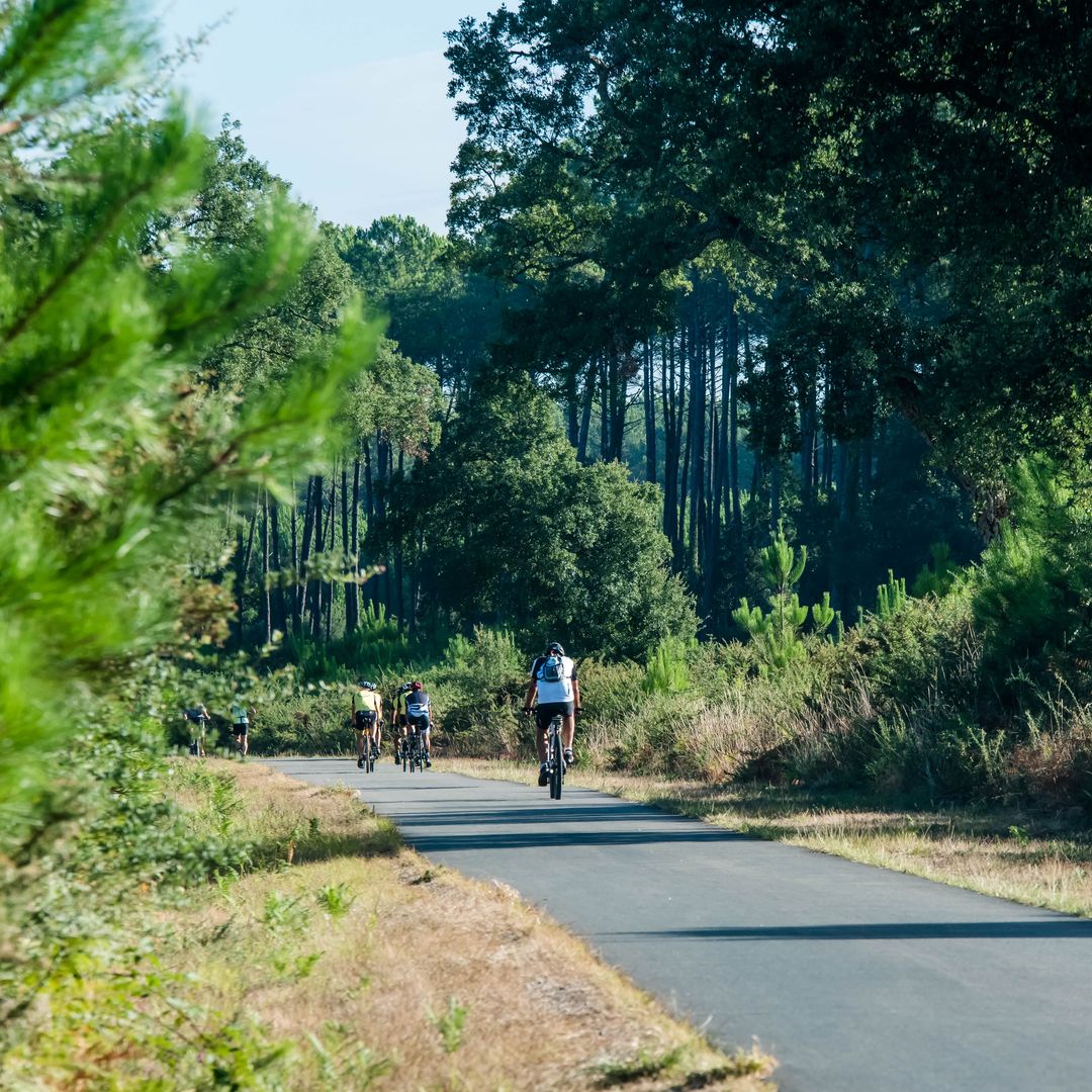 Ciclistas en los bosques de Las Landas, Francia
