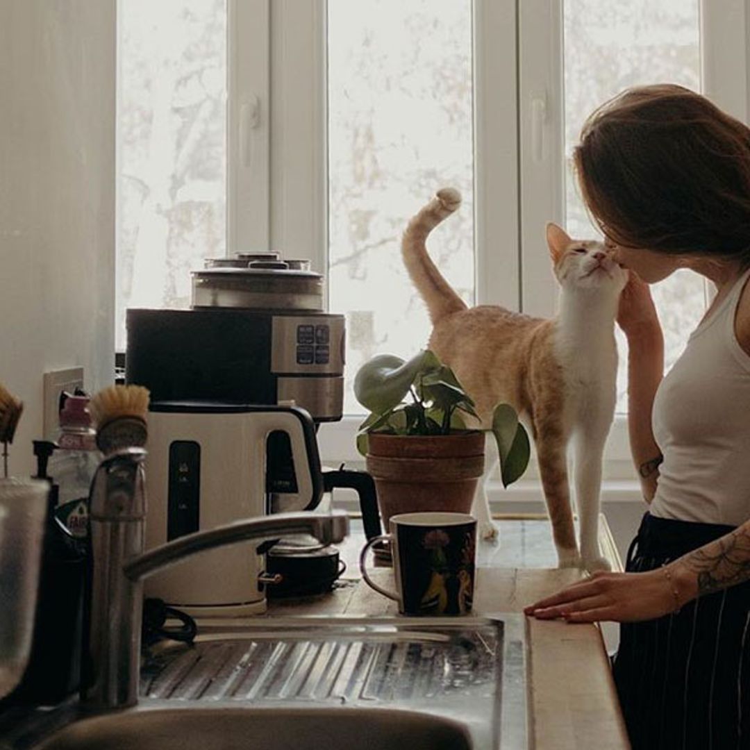 Mascotas conectadas, lo último en tecnología para cuidar como nunca a los reyes de la casa