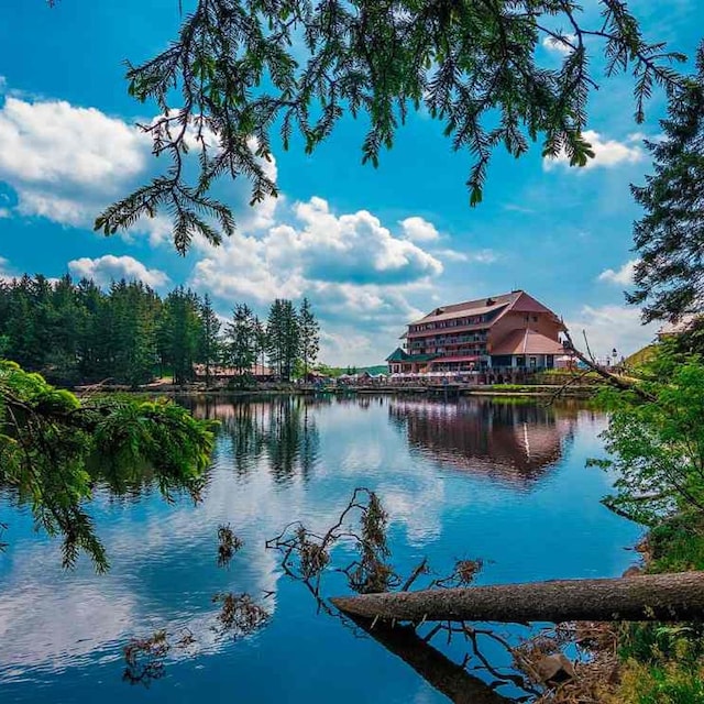 selva negra alemania