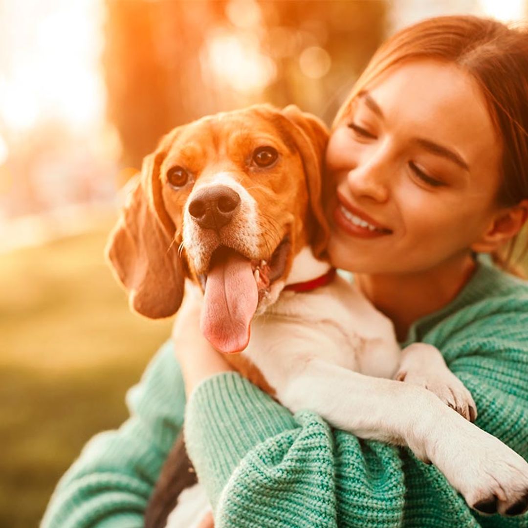 Alarga la vida de tu perro: hasta 20 años vive un can bien cuidado