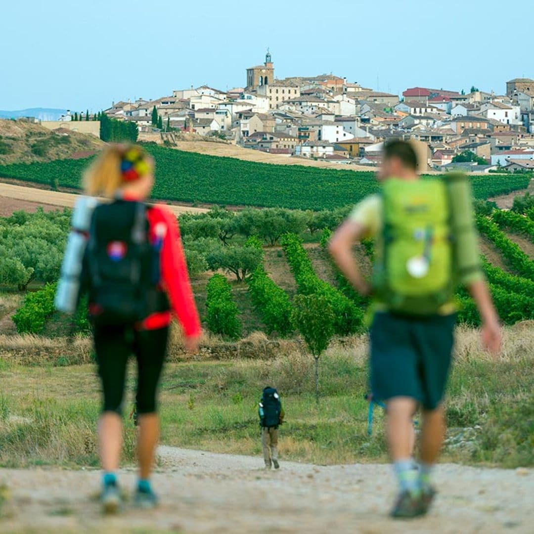 Recomendaciones para hacer el Camino de Santiago, un referente internacional