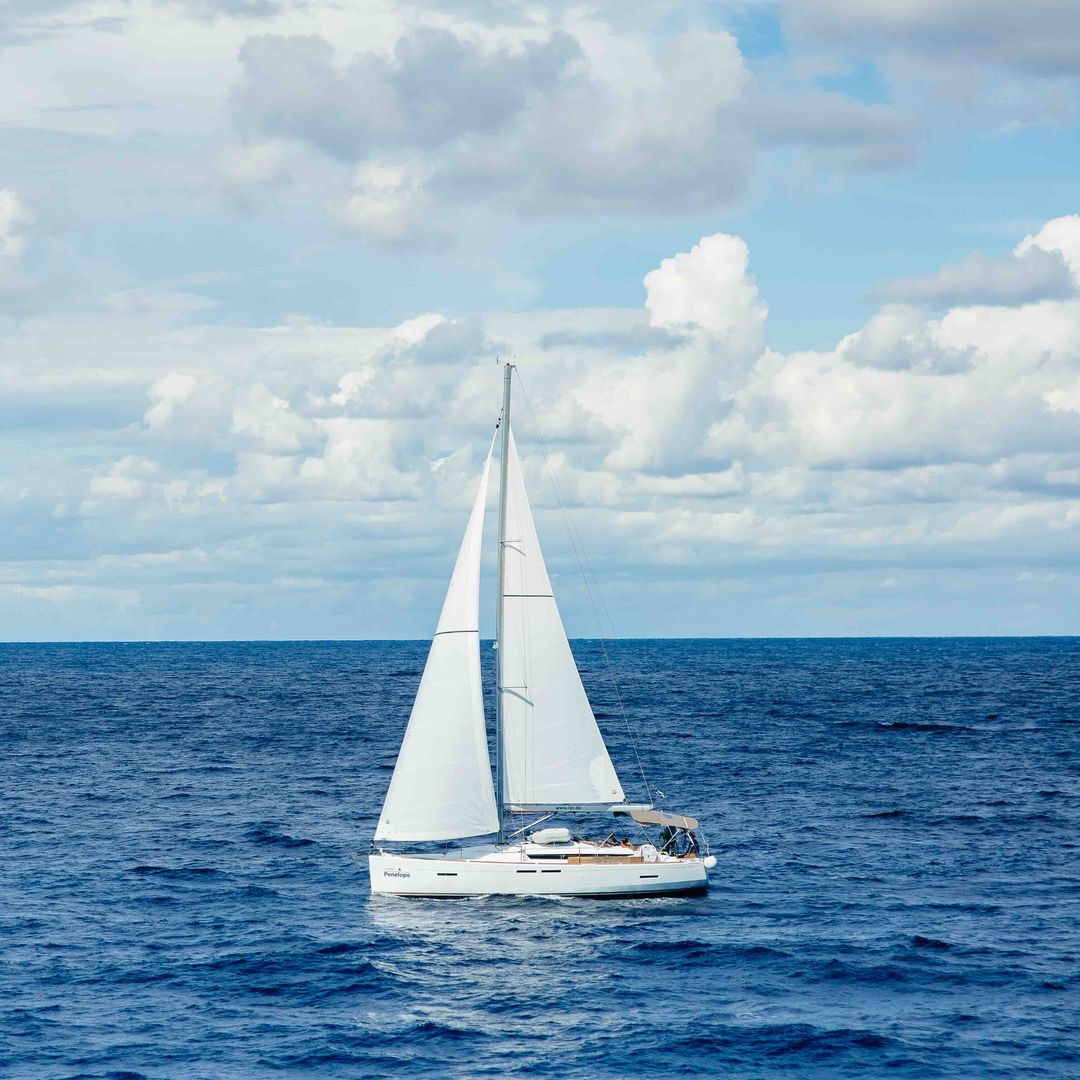 Velero de Sailwiz