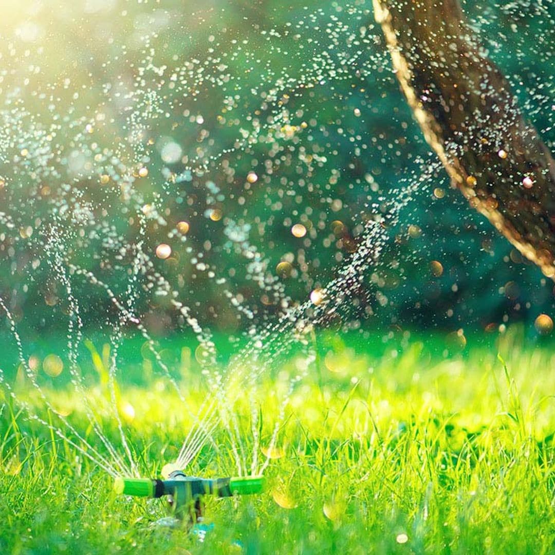 ¿Sabes cuál es el mejor sistema de riego para tu jardín?