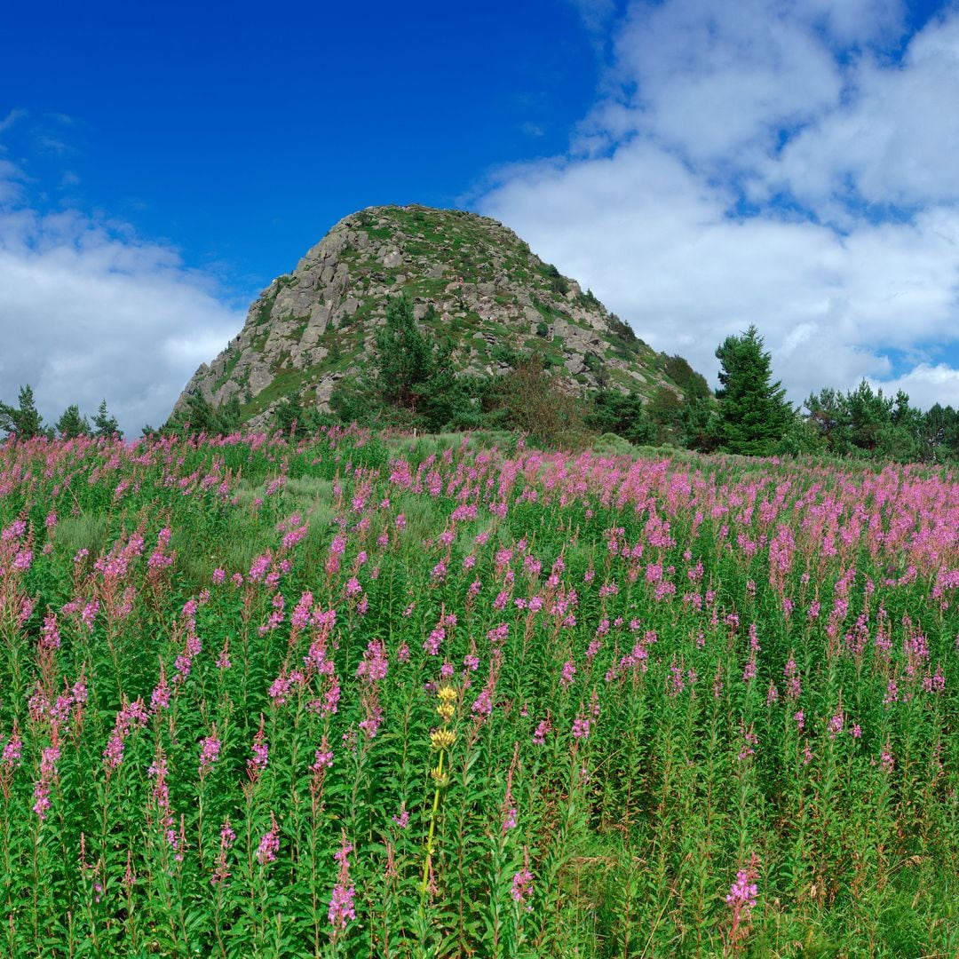 Monte Gerbier de Jonc, donde nace el río Loira, Francia