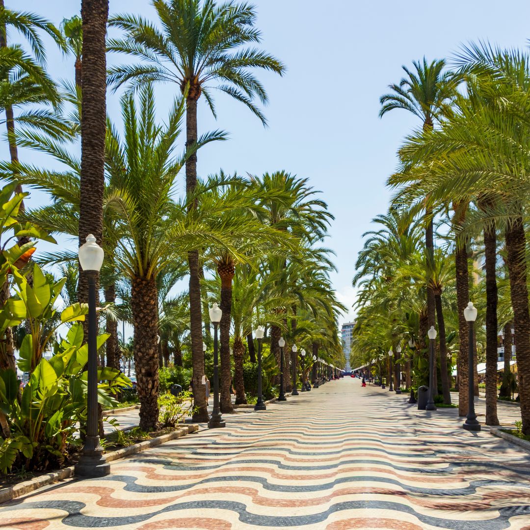 El paseo marítimo más emblemático de Alicante, donde el Mediterráneo se siente bajo los pies