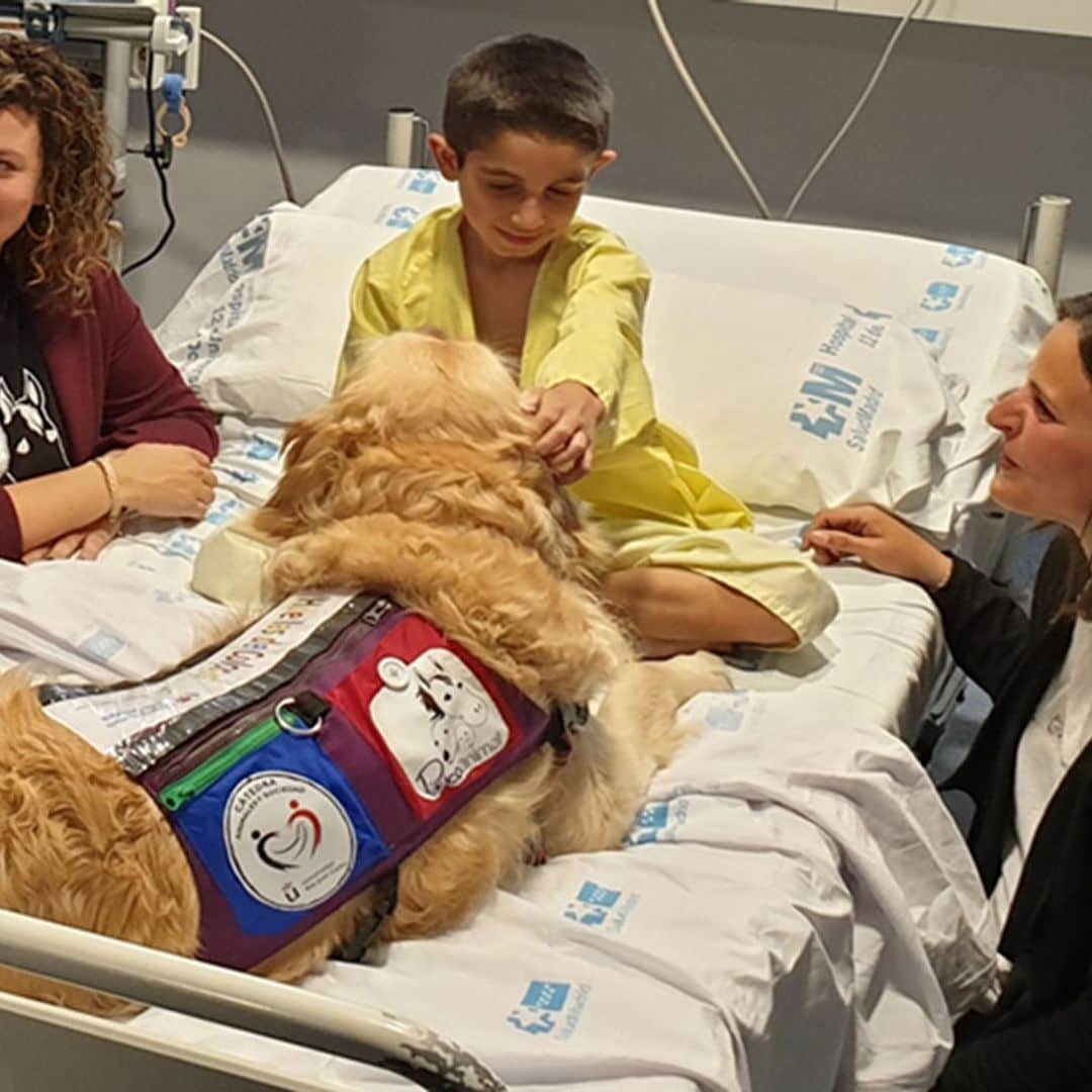 Zenit, el 'médico canino' que cuida a los más pequeños